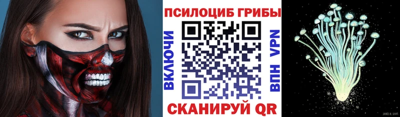 Галлюциногенные грибы Magic Shrooms  Среднеуральск 