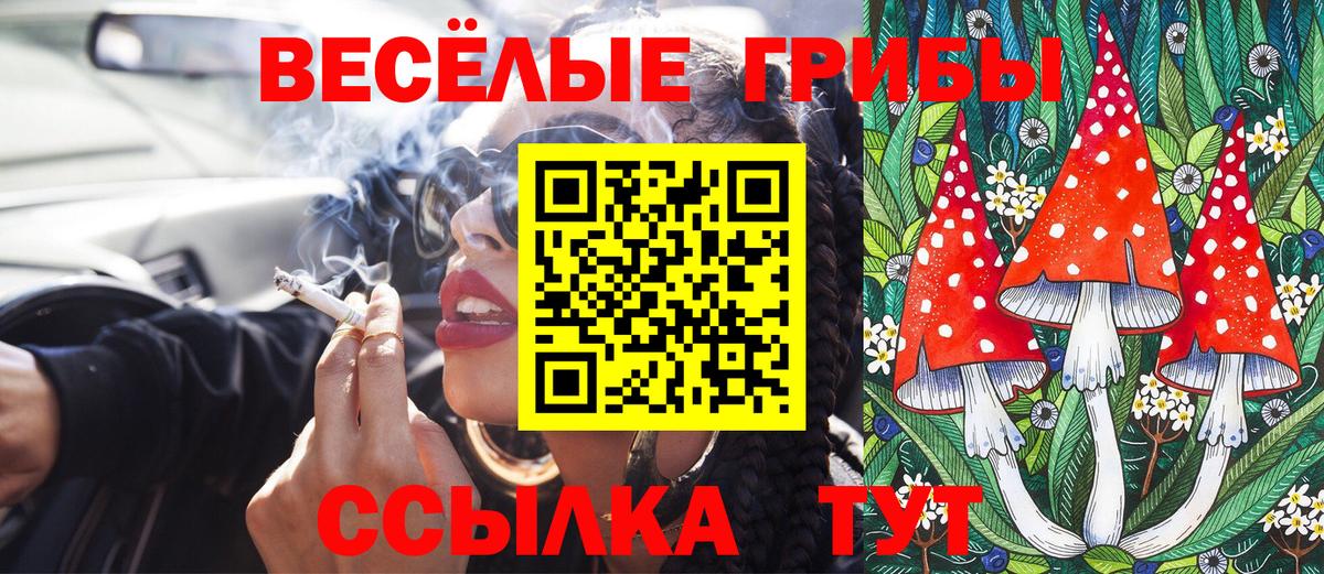 Галлюциногенные грибы Psilocybine cubensis Среднеуральск