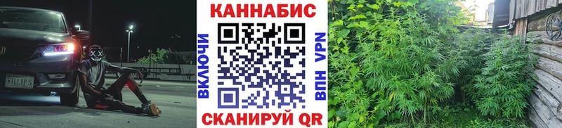 Бошки марихуана индика  Среднеуральск 